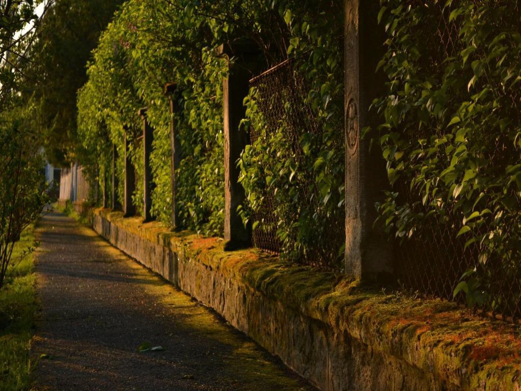 Turján Vendégház Erdőbénye Exterior foto